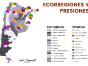 ¿Cuáles son las actividades humanas que más presionan sobre el ambiente?