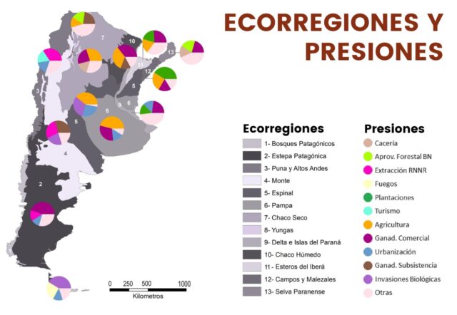 ecorregiones-mapa2