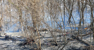 Se prendió fuego el campo del vice de CRA por segunda vez en menos de tres meses