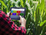 Tres puntos relevantes para implementar un software de gestión en el agro