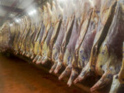 En la pandemia, la cadena de ganados y carnes debate el futuro que está a la vuelta de la esquina