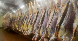 Las exportaciones de carne bovina crecieron 20,2%
