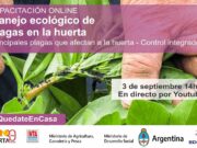 Charla virtual: manejo ecológico de plagas en la huerta