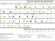 Calendario biodinámico para la siembra de Septiembre 2020