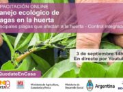 Manejo ecológico de plagas en la huerta, charla de INTA San Luis
