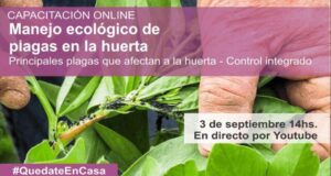 Manejo ecológico de plagas en la huerta, charla de INTA San Luis