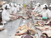 Argentina vuelve a exportarle carnes bovinas a Ucrania