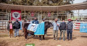 La Sociedad Rural de Huinca Renancó realiza su Exposición