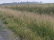 Proyecto para el acceso a la tierra en zonas rurales