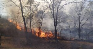 San Luis: combaten tres incendios de manera simultánea