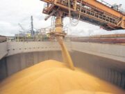 Bancos extranjeros acreedores de Vicentin piden ser querellantes