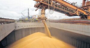Las exportaciones agroindustriales sostienen el ingreso de dólares en el país