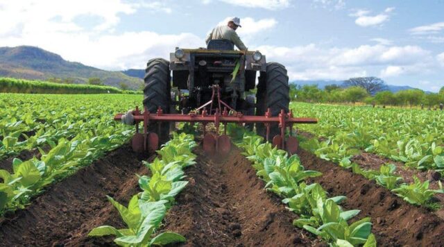 15 - 09 - producción agropecuaria