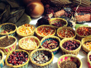 En Misiones protegen a las semillas nativas mediante una ley