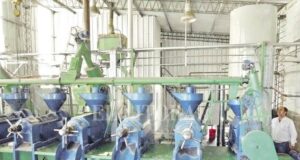 Vender productos con mayor valor agregado, un desafío histórico que no arranca
