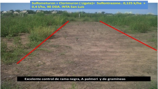 24 - 09 - Garay 1
