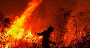 El gobierno homologó el desastre agropecuario por incendios en Córdoba