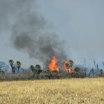 6b700ae5-d447-4fe0-bc5b-deb5ff7f8183