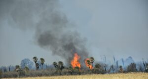 San Luis: el fuego en Villa del Carmen arrasa con el bosque nativo
