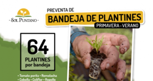 Sol Puntano pone a la venta bandejas hortícolas de primavera – verano para huertas familiares