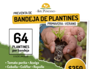 Más de 900 personas ya reservaron bandejas hortícolas de primavera-verano de Sol Puntano