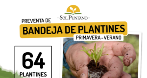 Más de 900 personas ya reservaron bandejas hortícolas de primavera-verano de Sol Puntano