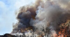 Lograron controlar los incendios en El Volcán, Saladillo y Cuatro Esquinas