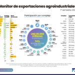 Monitor-Exportaciones-Informe-Liviano