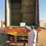 Qatar