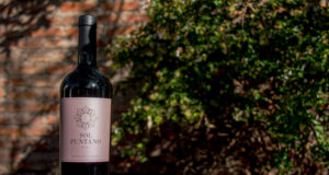 “Sol Puntano” vendió toda su producción de vino malbec