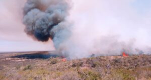 Continúan los trabajos de bomberos y brigadistas por un incendio cerca de Saladillo