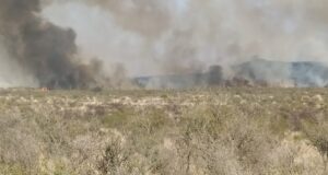 San Luis: siete dotaciones de bomberos combaten un incendio en Donovan