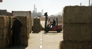 Llegó a Qatar la primera carga de alfalfa enviada por el gobierno de San Luis