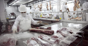 Carne vacuna: cómo se comportaron las exportaciones de agosto de 2020