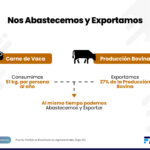 expo abast y exportar 1