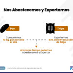 expo abast y exportar 2