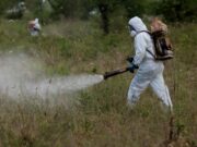 Guía para el buen uso de productos fitosanitarios en el control de langostas y tucuras