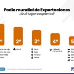 ranking productos expo