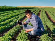 Cooperación sin precedentes: AAPRESID, CREA, INTA y FAUBA se alían por la sustentabilidad