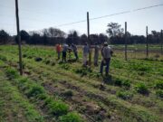 Agricultura conformó la Comisión Nacional de Regularización Dominial de la Tierra Rural