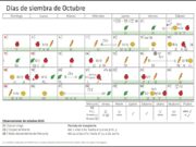 Calendario biodinámico para la siembra de Octubre 2020