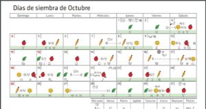 Calendario biodinámico para la siembra de Octubre 2020