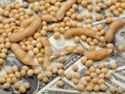 ¿cómo quedan las retenciones a la soja y la industria?