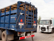 Crece el uso de la autogestión en la emisión del DT-e para el movimiento de animales