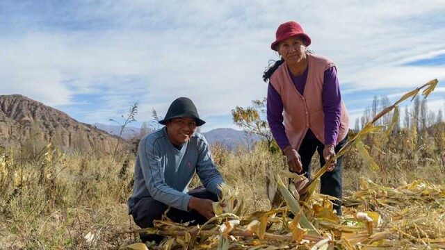 09 - 10 - agricultura familiar