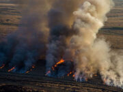 Greenpeace contra la Sociedad Rural por los incendios