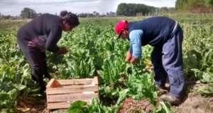 Senasa trabaja sobre proyectos para la agricultura familiar en La Pampa y San Luis