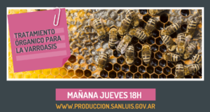 Este jueves llega un nuevo capítulo del curso virtual de producción agropecuaria
