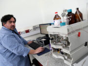 Advertencia de un científico sobre el trigo transgénico aprobado