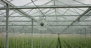 Fomentan el vínculo entre las cooperativas agrarias y las nuevas tecnologías